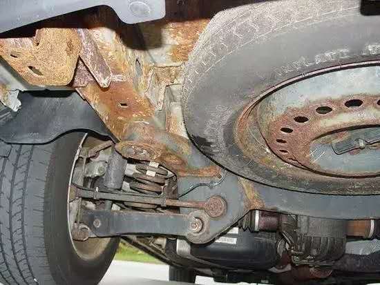 七分養(yǎng)、三分修丨以養(yǎng)代修，真心??！